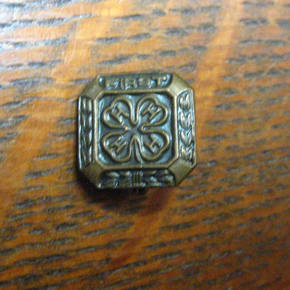 4H 4-H Four H First Year Place Vintage Lapel Pin